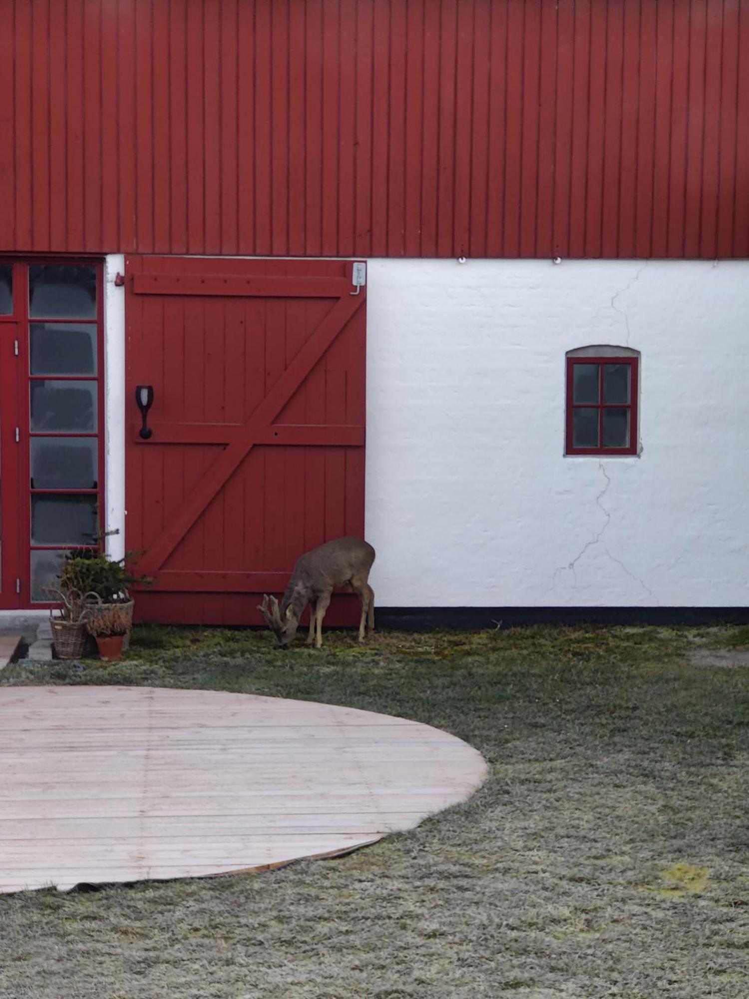 Apartamento Gimleretreat Bøtø By Exterior foto